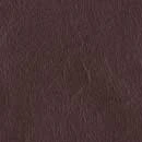 Brown Leather